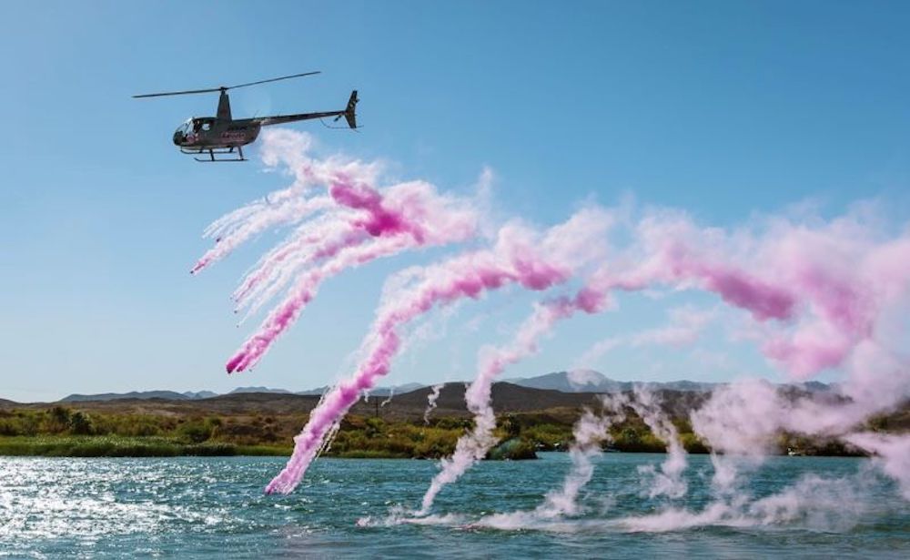 We cordially invite you to check out our list of 12 creative and memorable gender reveal ideas for all budgets for inspiration!